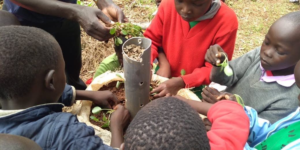 Education programme
